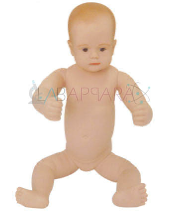 New Born Baby Model