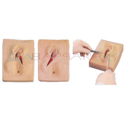 Vulva Suturing Training Simulator