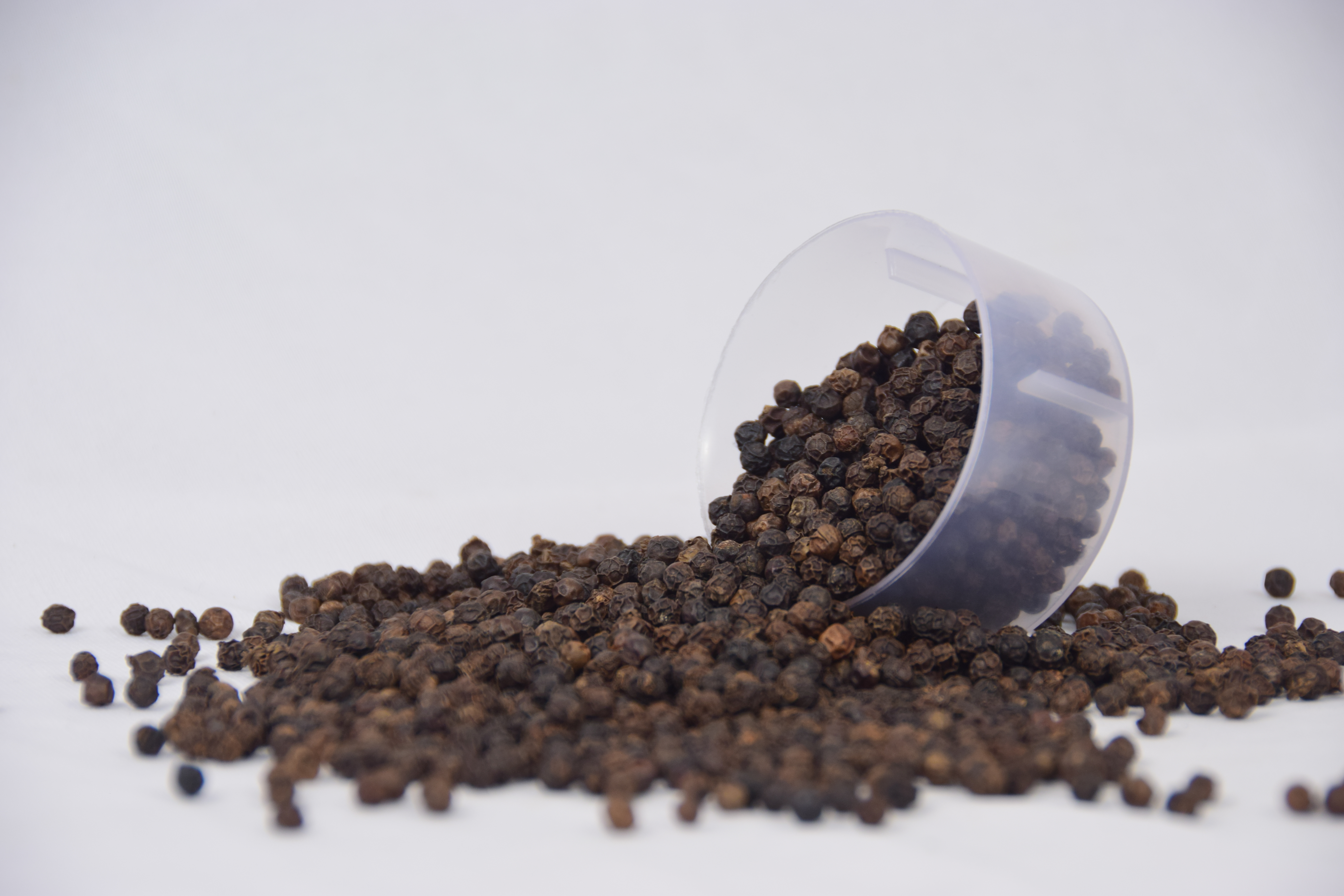 Organic Black Pepper