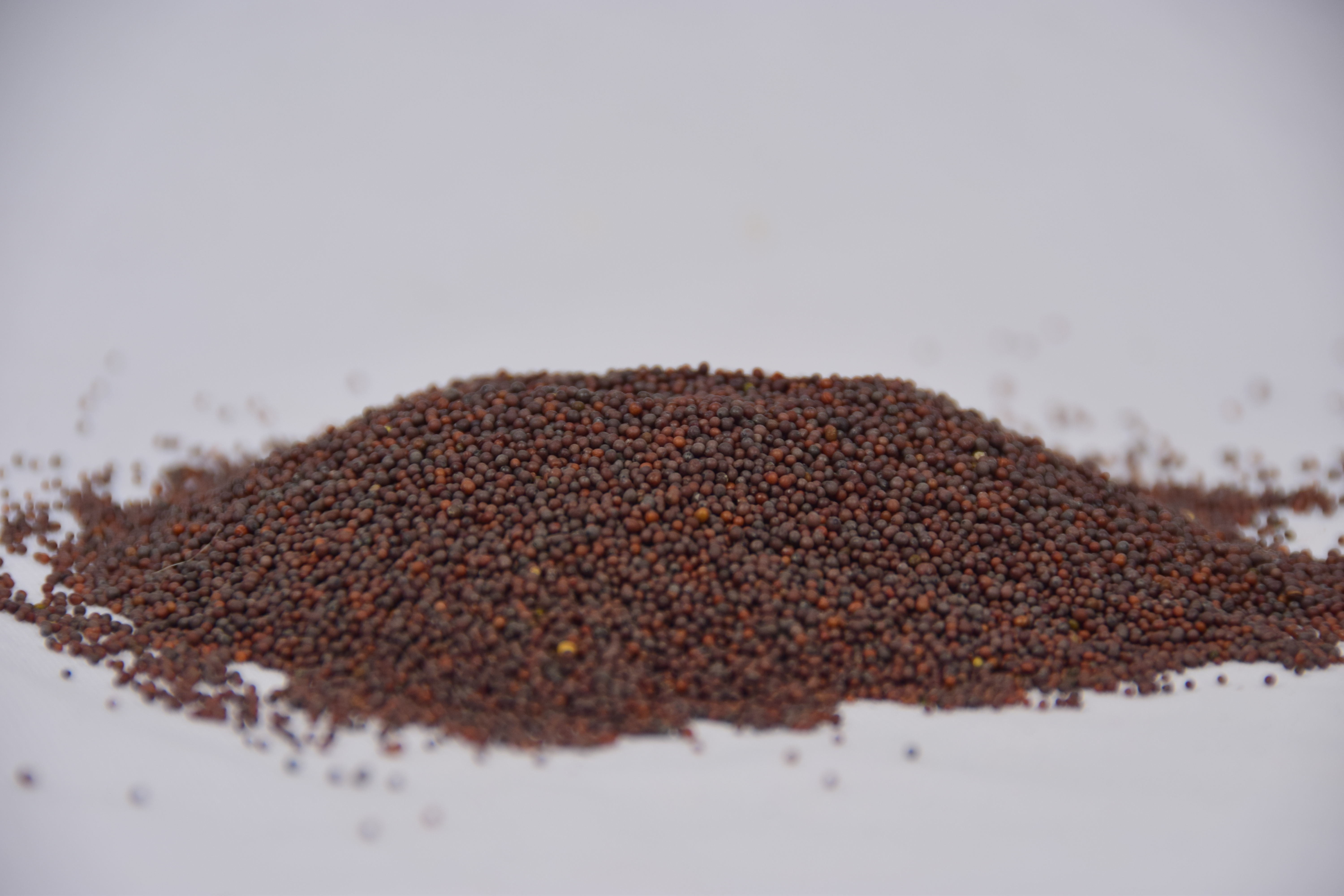 Bblack Mustard Seeds