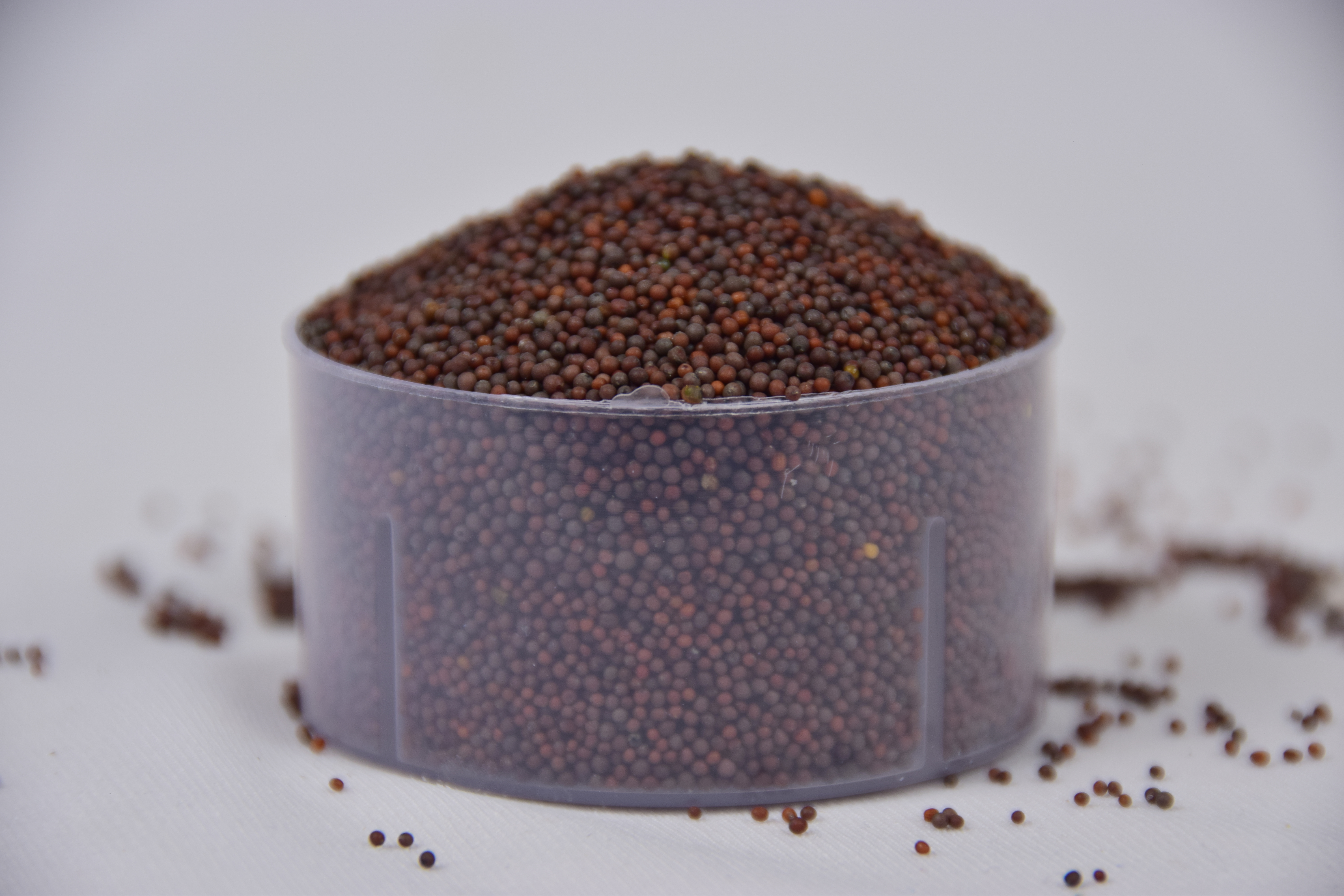 Bblack Mustard Seeds