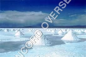 पीवीडी नमक