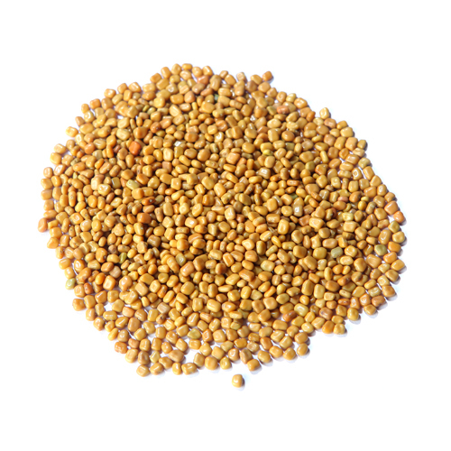 पीले कैलोपोगोनियम म्यूकुनोइड्स बीज