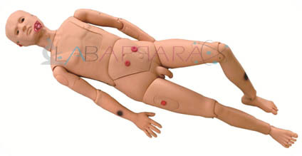 Standard Patient For External Fixation Training Simulation In First Aid Of Limb Fracture