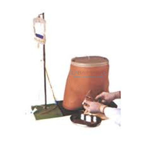 Prostate Dialysis Model