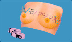 Breast Examination Model