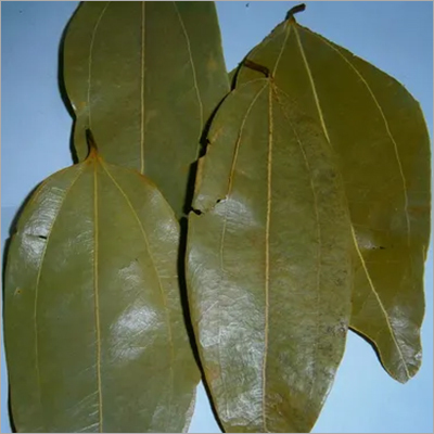 Herbal Product Bay Leaves