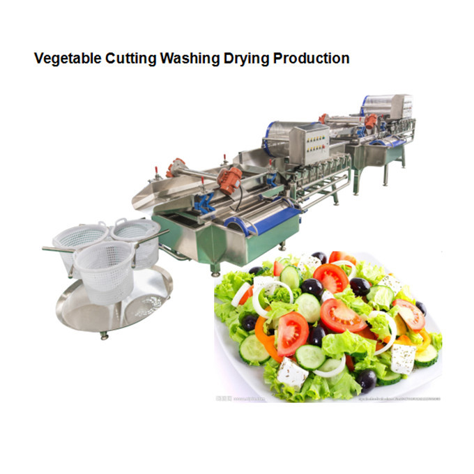 Vortex Vegetable Washing Machine Capacity: 500-1000 Kg/hr