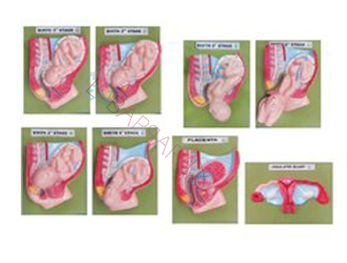 Delivery Process Models Set Of 8