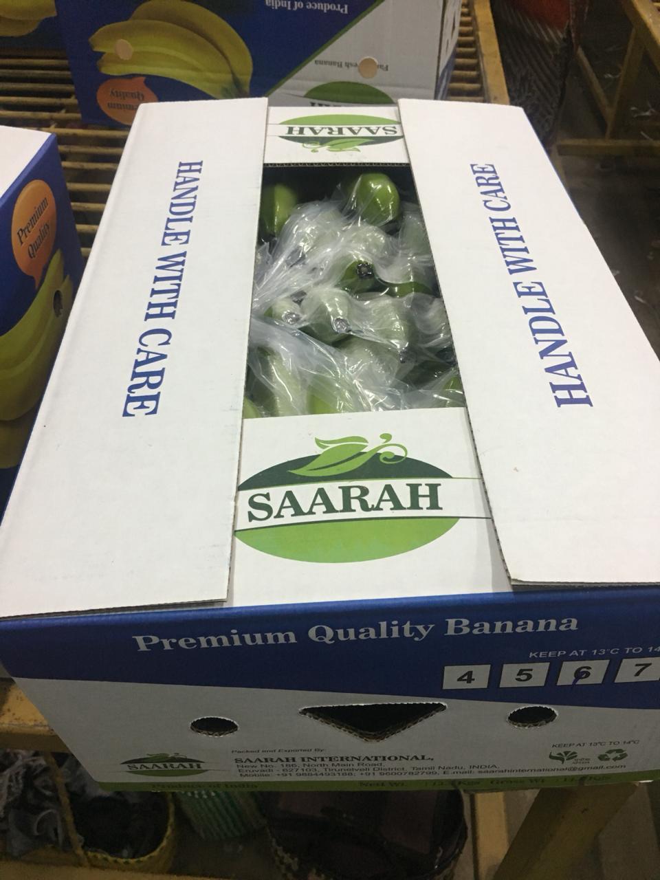 Cavendish Banana