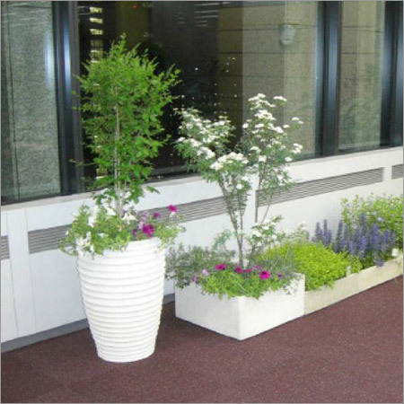 बॉक्स प्लांटर