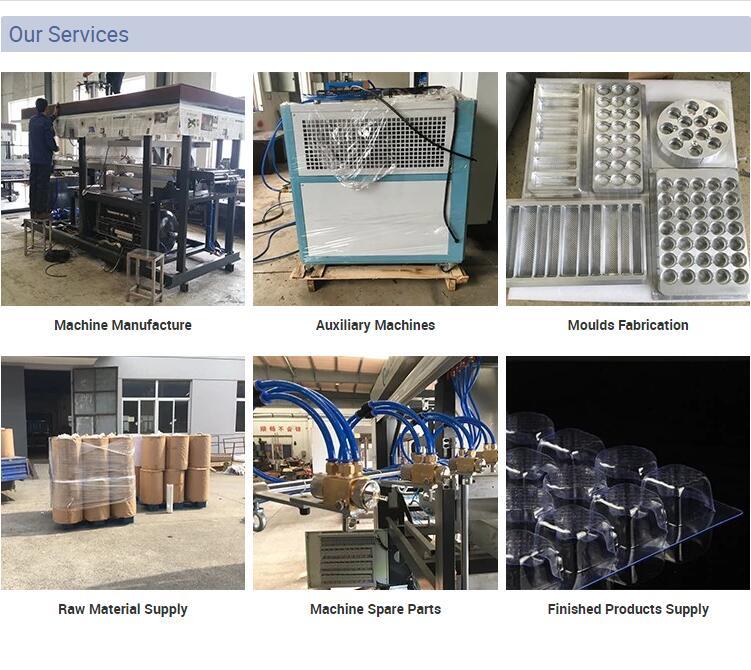 Customized Positive And Negative Disposable Food Container Thermoforming Machine