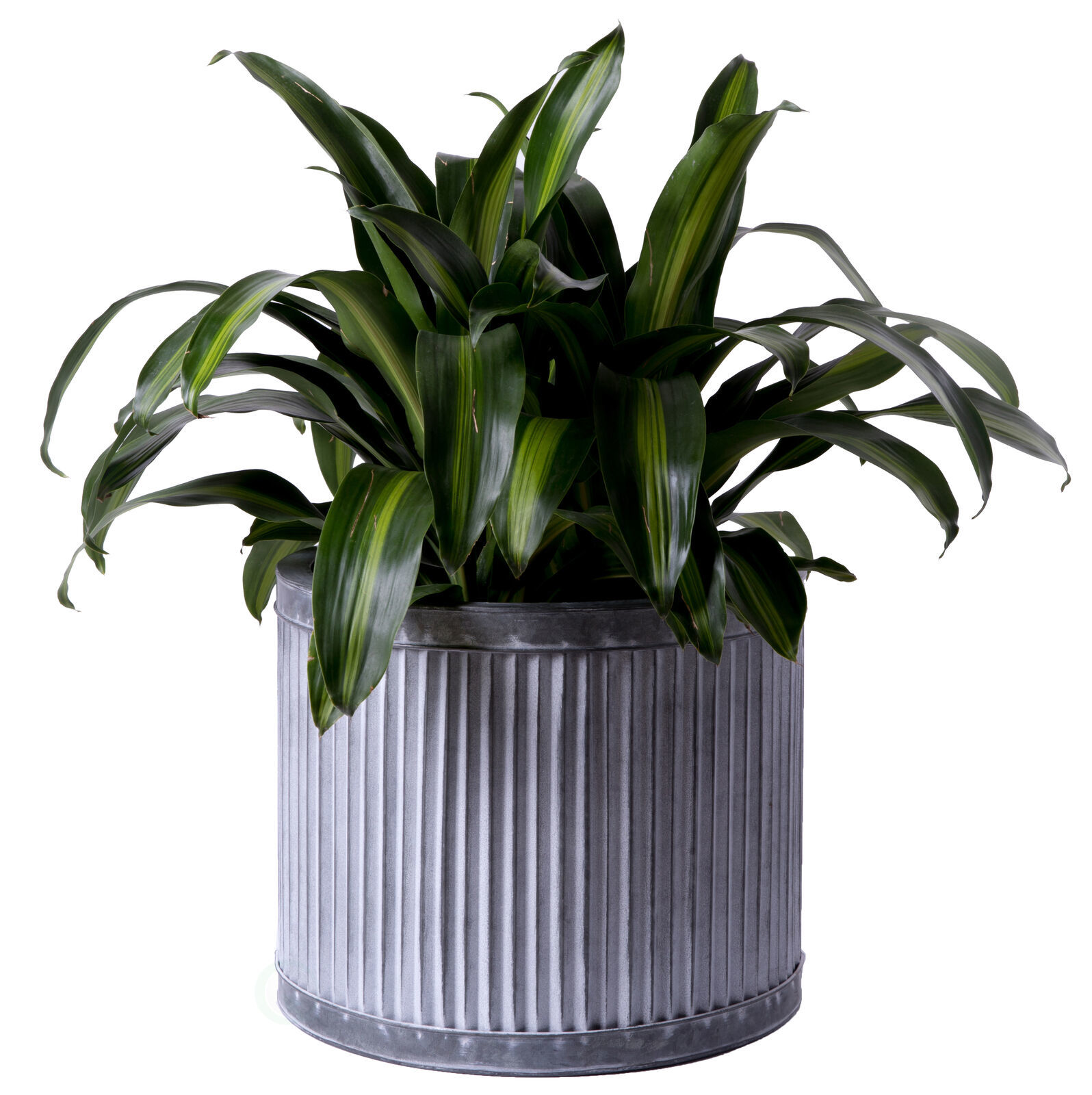 Iron Metal Corrugated Round Planter Set - Sizes: Large 17.25" Dia X 14.25" H, Medium 13.25" Dia X 12.5" H | Dark Grey, Rustic Charm, Ideal For Indoor Or Outdoor Use