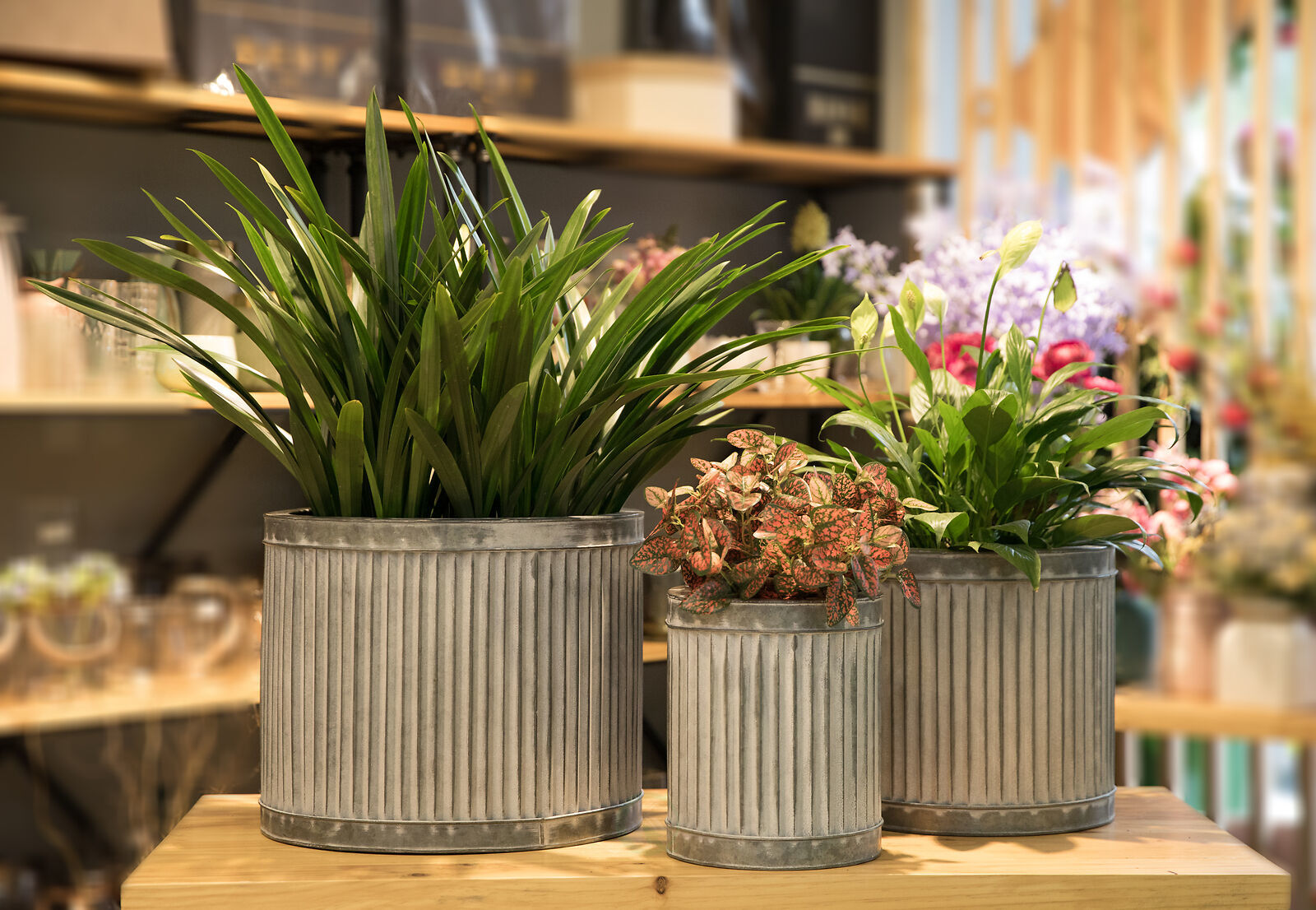 Iron Metal Corrugated Round Planter Set - Sizes: Large 17.25" Dia X 14.25" H, Medium 13.25" Dia X 12.5" H | Dark Grey, Rustic Charm, Ideal For Indoor Or Outdoor Use