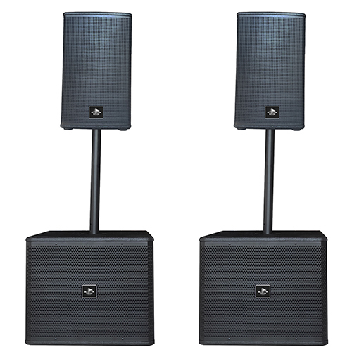 Professional Speaker