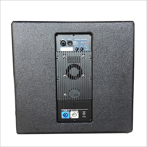 Professional Speaker
