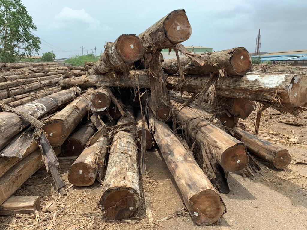 Teak Wood - Feature: Termite Proof