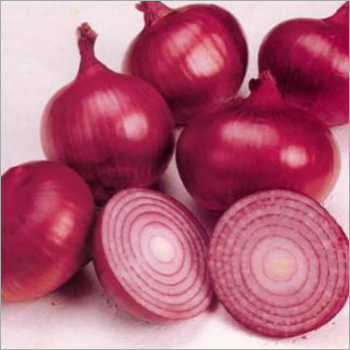 Red Onion - Food Grade, Non-Peeled | Rich in Vitamin C, Antibacterial, Anti-Inflammatory, 3-4 Months Shelf Life, Naturally Grown