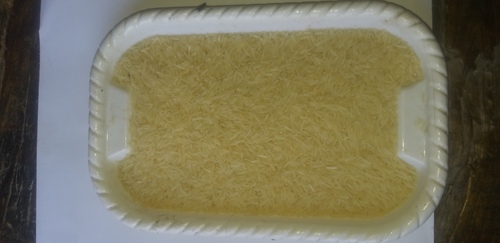 1509 Basmati Golden Rice Admixture (%): 0%