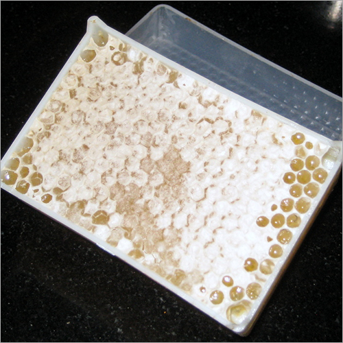 हनी कॉम्ब शेल्फ लाइफ: 1 साल