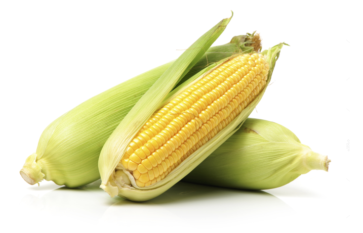 Yellow Maize - A Grade Dried Cereal Grain, Natural Dry Process, 96% Purity, Max 14% Moisture, 2% Admixture, 3% Broken Ratio, Crop Year 2018-2019