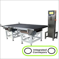 Gray Online Check Weigher Belt Conveyor