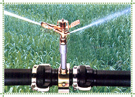 स्प्रिंकलर नोजल