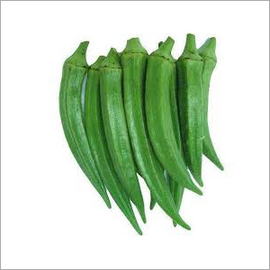 Lady Finger