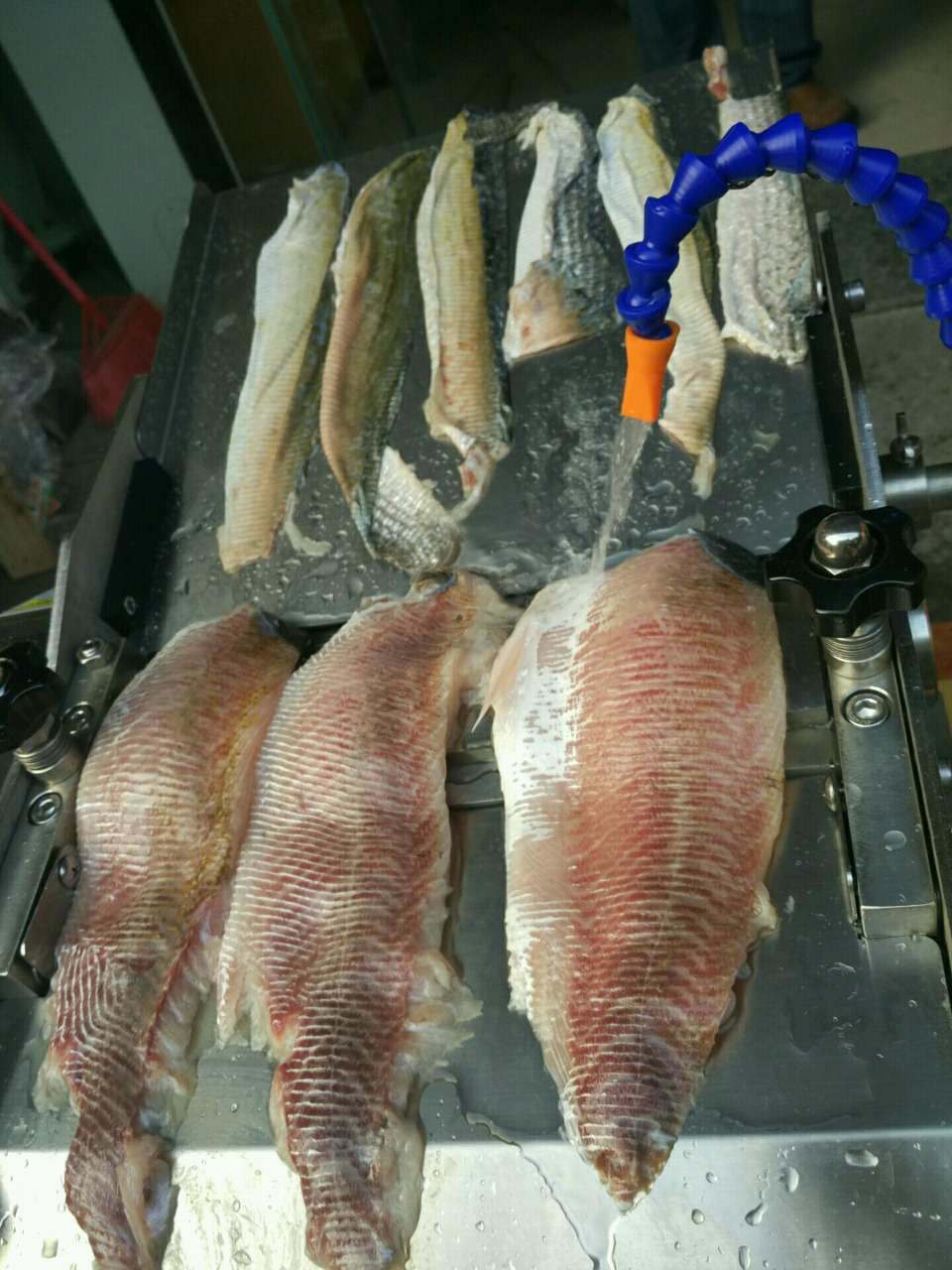 Stainless Steel Fish Skin Peeling Machine