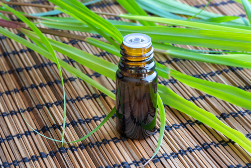 Green Lemongrass Oil