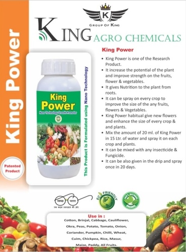 राजा शक्ति