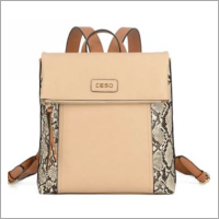 हैंडबैग 5668