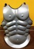 Muscle Armor Silver