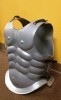 Muscle Armor Silver