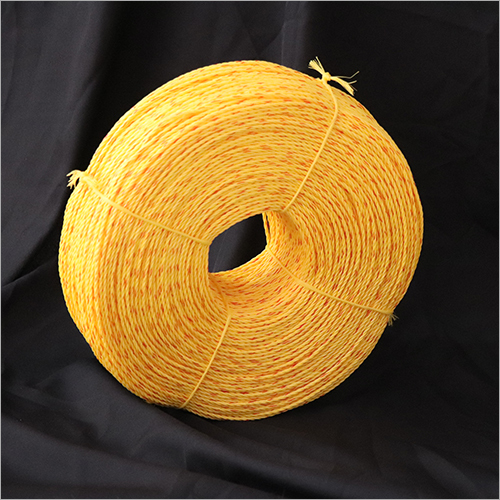 पॉलीप्रोपाइलीन (पीपी) 2 एमएम डैनलाइन पीपी रोप