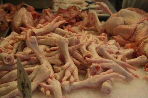 Halal Halal Certified Frozen Chicken Feet