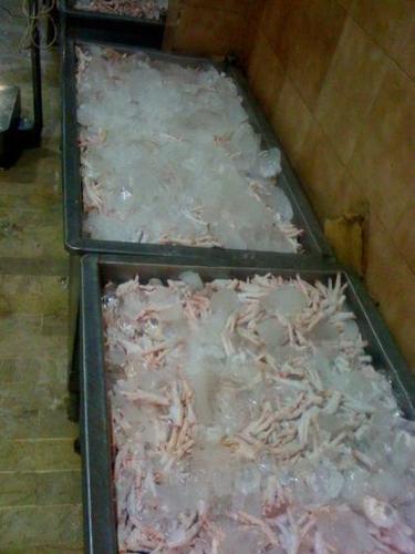 Processed Frozen Chicken Feet ( Grade A)