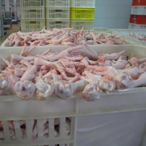 Grade A Processed Frozen Chicken Feet