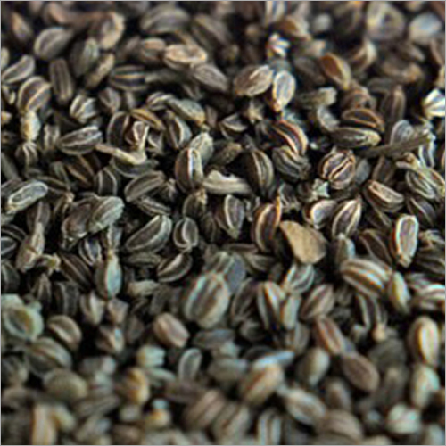 Dried Celery Seed