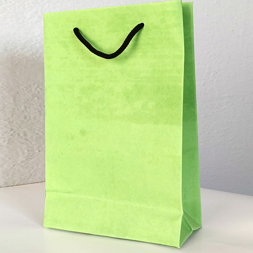 रंगीन पेपर बैग