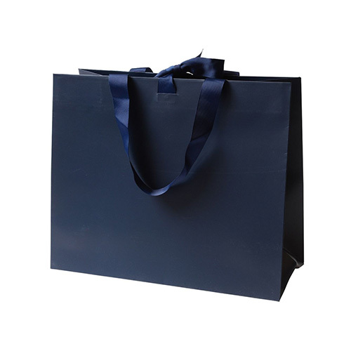 विमान और कस्टम लोगो बैग