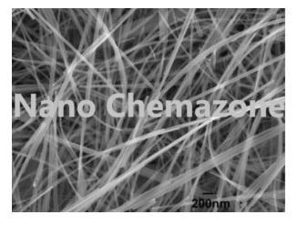 Zinc Oxide Nanowire