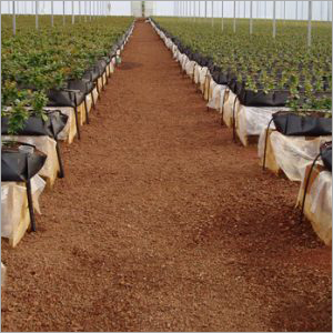 Dark Brown Cocopeat Manure