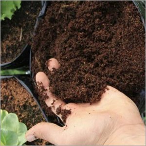 Dark Brown Cocopeat Manure