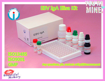 Epstein Barr Virus Ebv Iga Elisa Kit