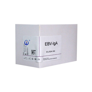 Epstein Barr Virus Ebv Iga Elisa Kit