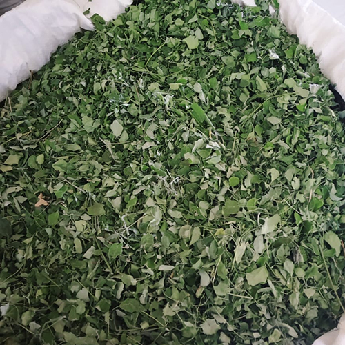 Organic Moringa Leaf Grade: A