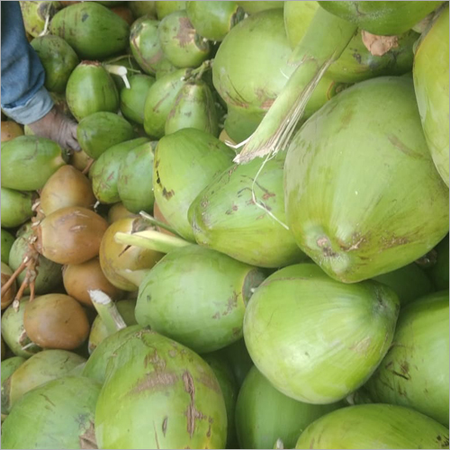 Green Coconut