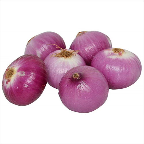 Pink Onion - Organic Grade A, Round Shape | Pink Color, 2-3 Week Shelf Life, Whole Vegetable