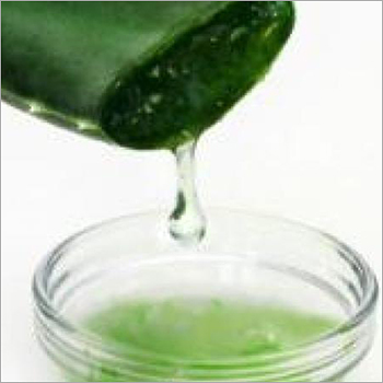 Herbal Product Global Aloe Vera Extract